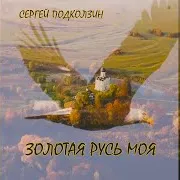 Сергей Подколзин